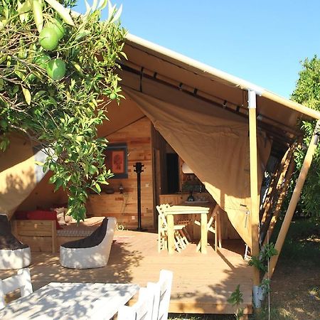 Çıralı Campo Portakal Eco Glamping酒店 客房 照片
