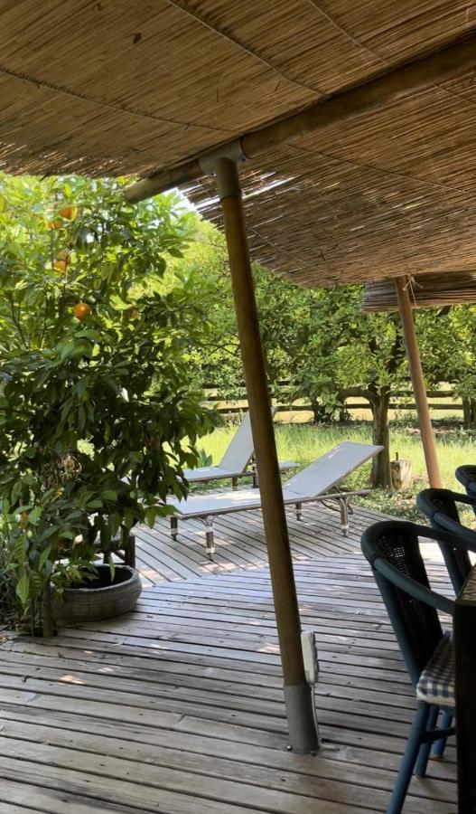 Çıralı Campo Portakal Eco Glamping酒店 外观 照片
