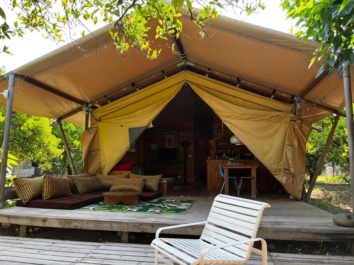 Çıralı Campo Portakal Eco Glamping酒店 外观 照片