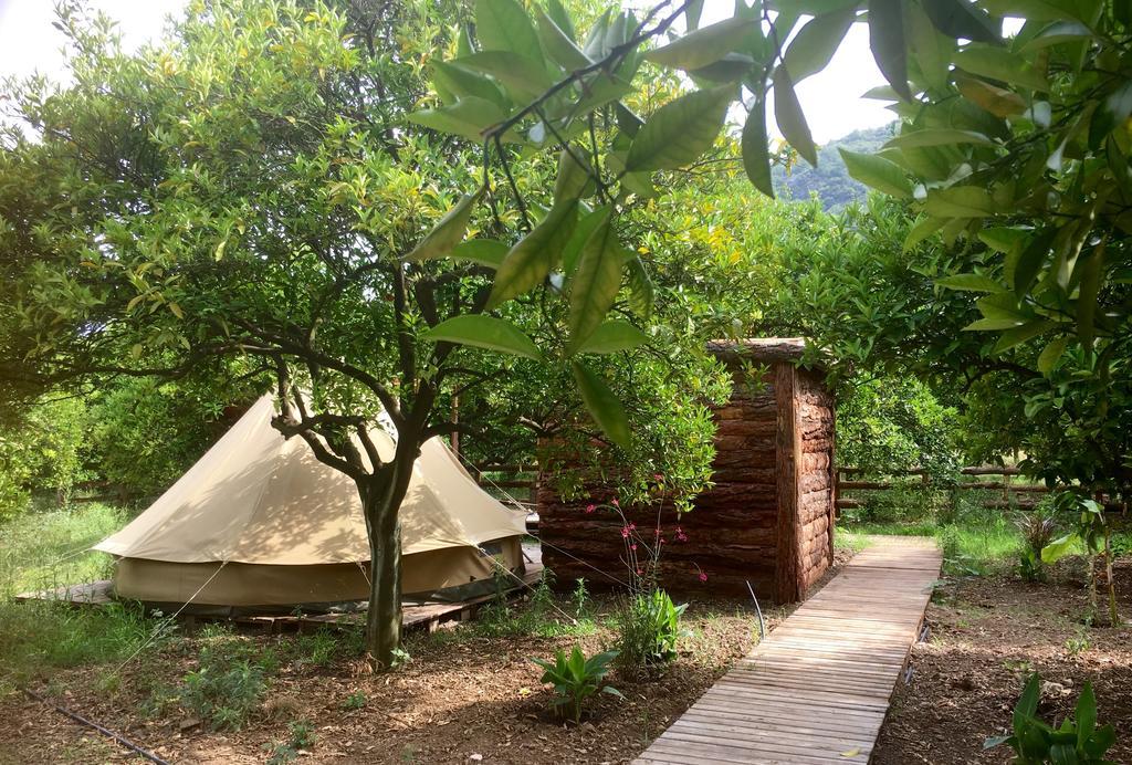 Çıralı Campo Portakal Eco Glamping酒店 外观 照片