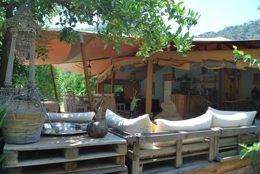 Çıralı Campo Portakal Eco Glamping酒店 外观 照片